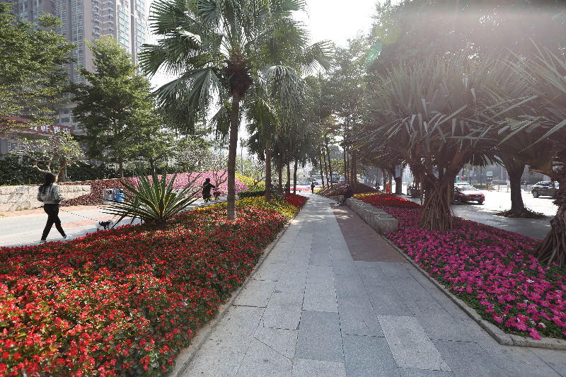 花城建設-嘉賓公園8.jpg