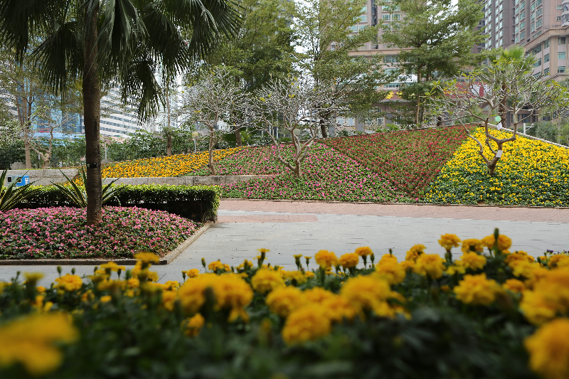 花城建設-嘉賓公園3.jpg