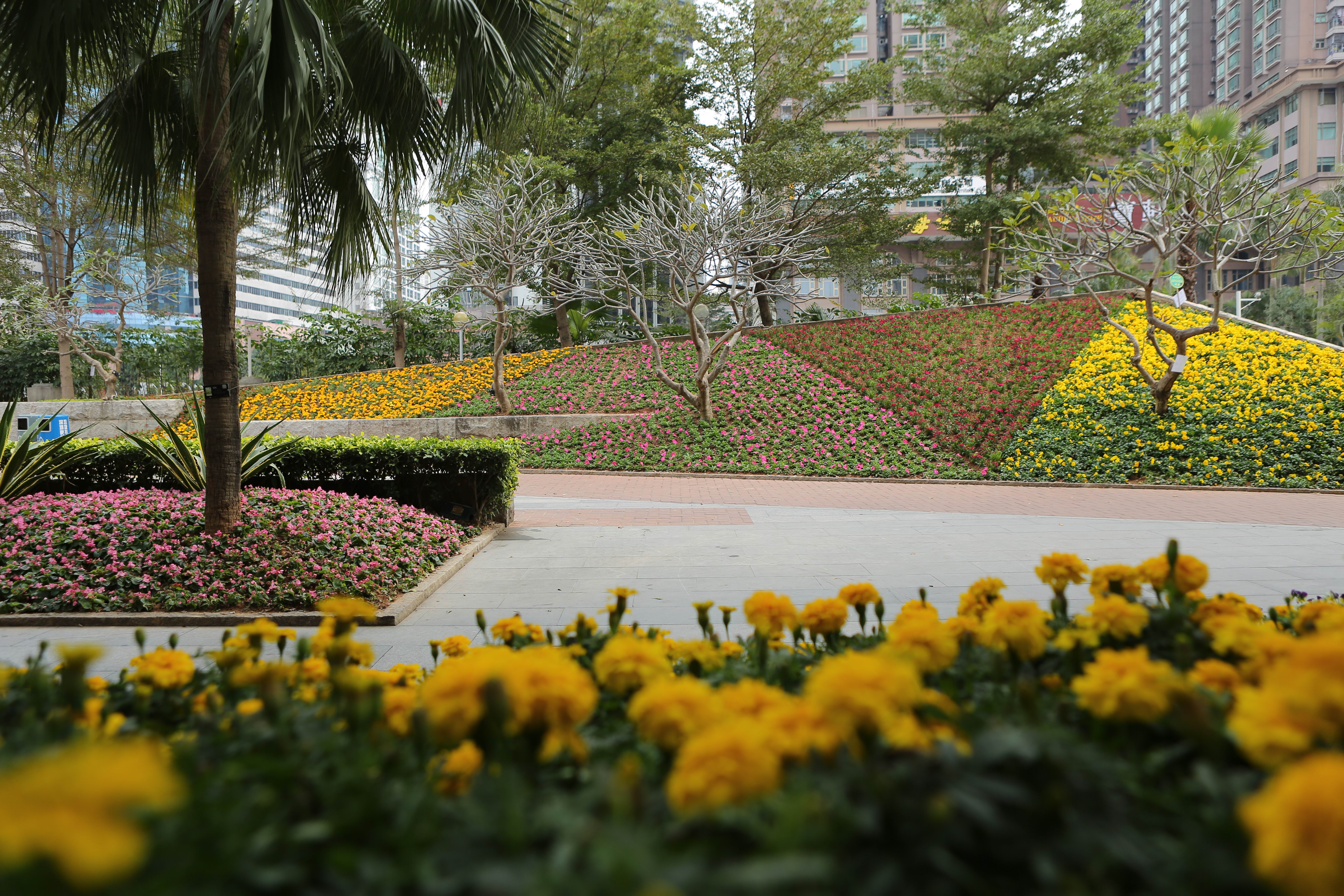 花城建設-嘉賓公園3.jpg