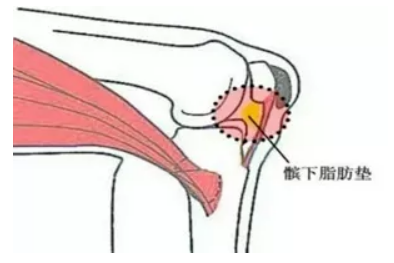 自動轉存圖片